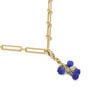 Blueberry charm by Michael Michaud